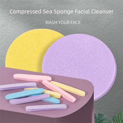 PurePore Compressed Facial Sponges (50 Pcs)